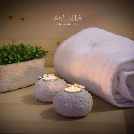 Aminta - Rooms & Wellness 安德里亚 外观 照片