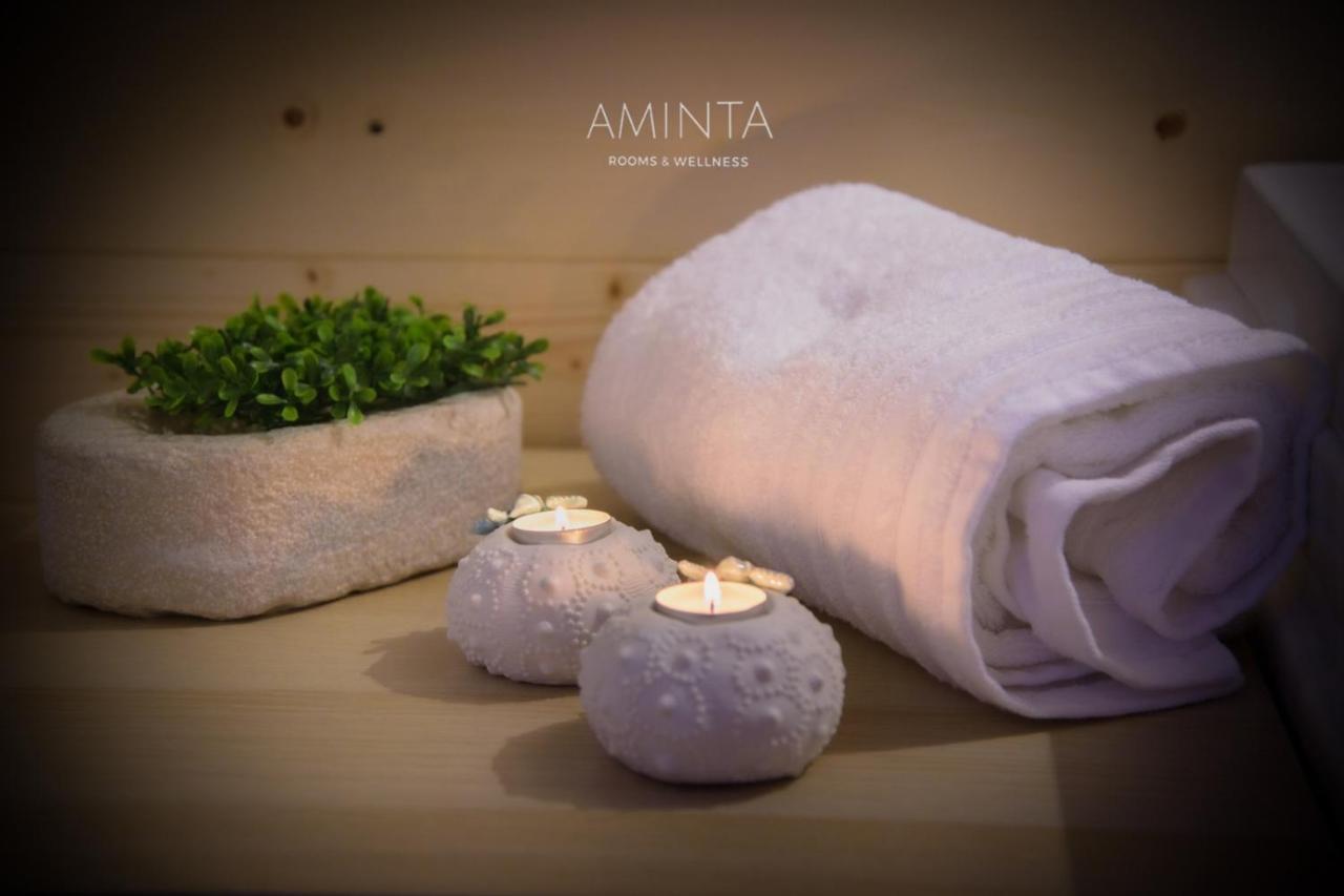 Aminta - Rooms & Wellness 安德里亚 外观 照片